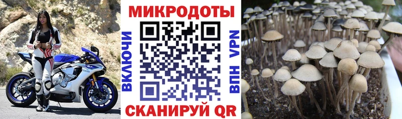 Псилоцибиновые грибы MAGIC MUSHROOMS  купить   Мензелинск 
