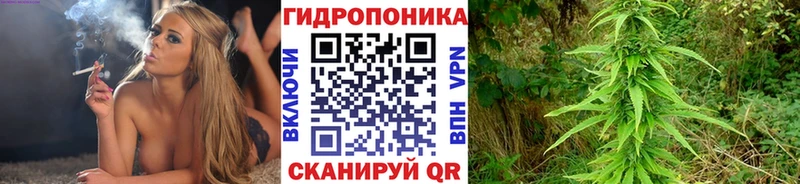Бошки марихуана MAZAR  Мензелинск 